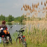 Fahrradträger ausleihen Potsdam